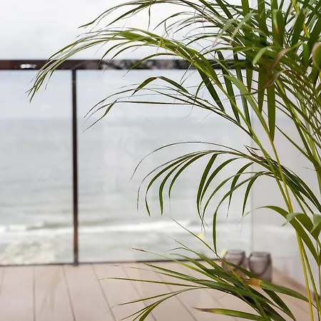 公寓 Seaside Park Private Aurora 502 *