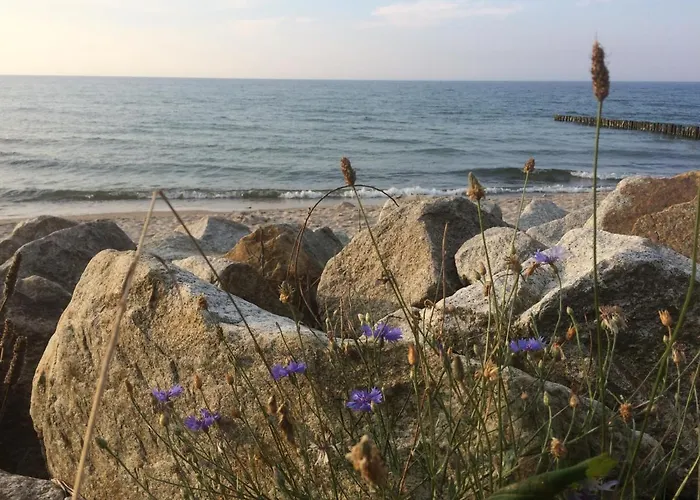 아파트 Seaside Park Private Aurora 502 코워브제크