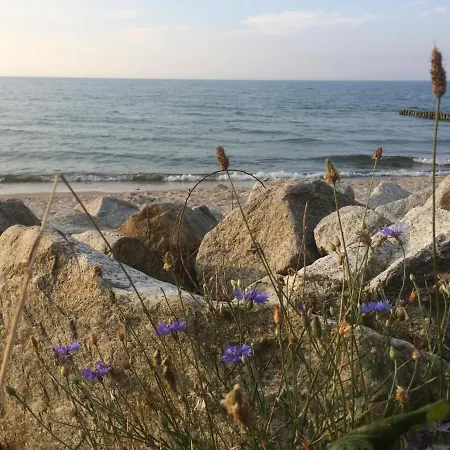 דירה Seaside Park Private Aurora 502 קולובז'ג